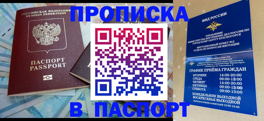 найти адрес прописки в Бородино